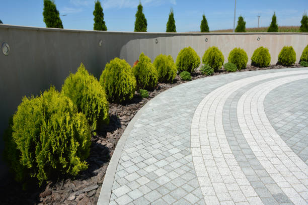 Best Driveway Paving Near Me  in Palmyra, IN